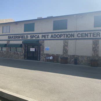 pet shelter bakersfield|Bakersfield SPCA.